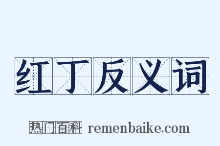 红丁反义词是什么意思的图片